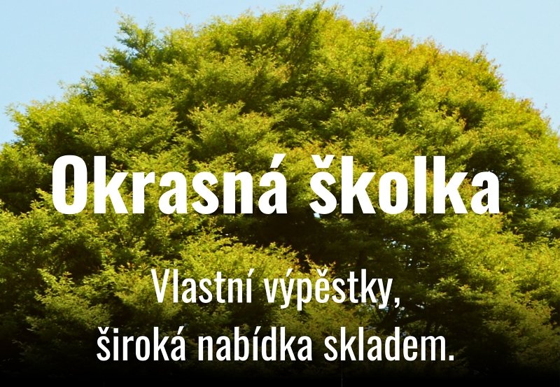 Okrasná skolka, vlastní výpěstky, zahony vřesů ve školce