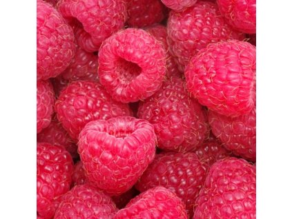 Rubus idaeus Boheme 01m1