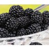 Rubus%20fruticosus%20Navaho%2002