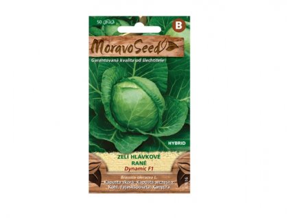 Zelí hlávkové rané DYNAMIC F1 - hybrid, ke skladování