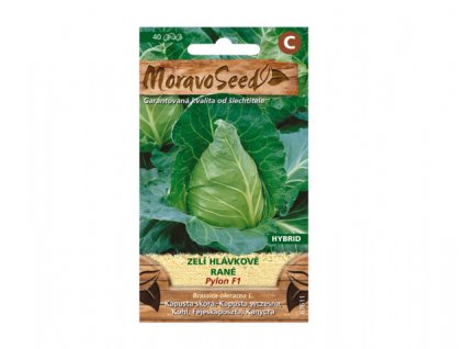 Zelí hlávkové rané PYLON F1 špičaté