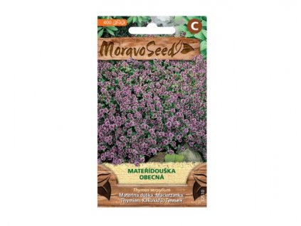 Mateřídouška obecná MoravoSeed