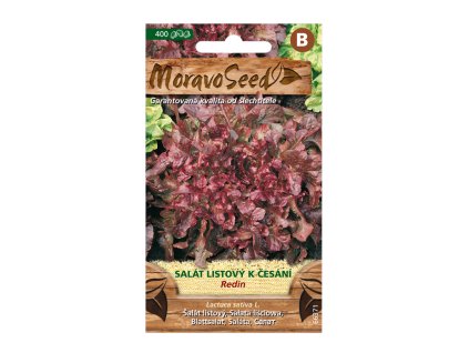 Salát listový k česání REDIN, červený 66371