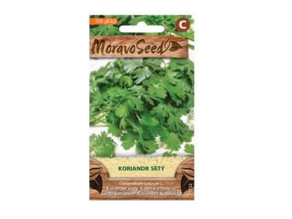 Koriandr setý 71722