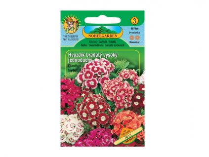 Hvozdík bradatý vysoký jednoduchý, směs