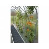 Gutta Gardentec Standard  6 x 2,5m PC 4 mm  + součásti 3 střešní okna + 3 automatické otvírače