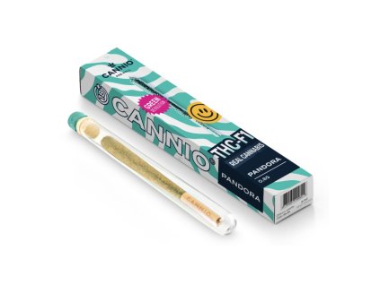 THC F1 PANDORA 1