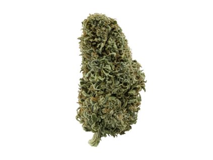 white widow kvety hhcx