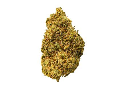 HHCX květy Orange Bud