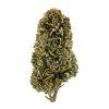 white widow kvety hhcx