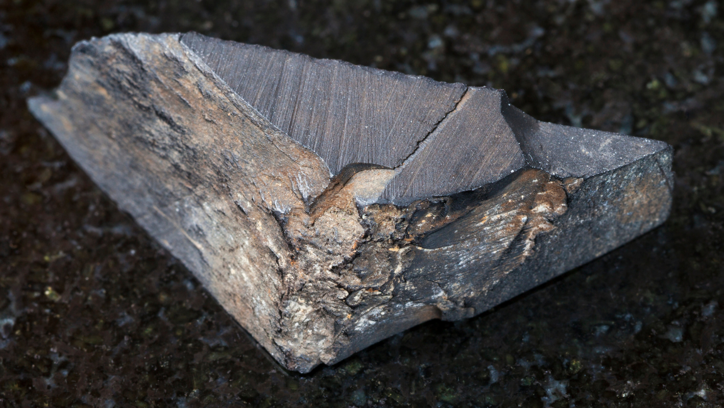 Gagát: známý také jako černý jantar