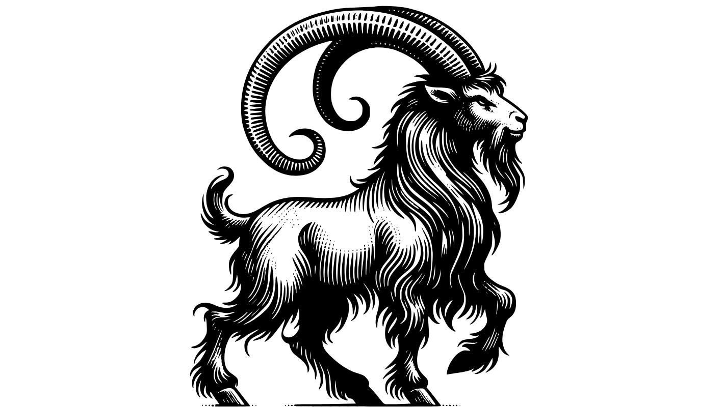 Kameny pro znamení: Kozoroh