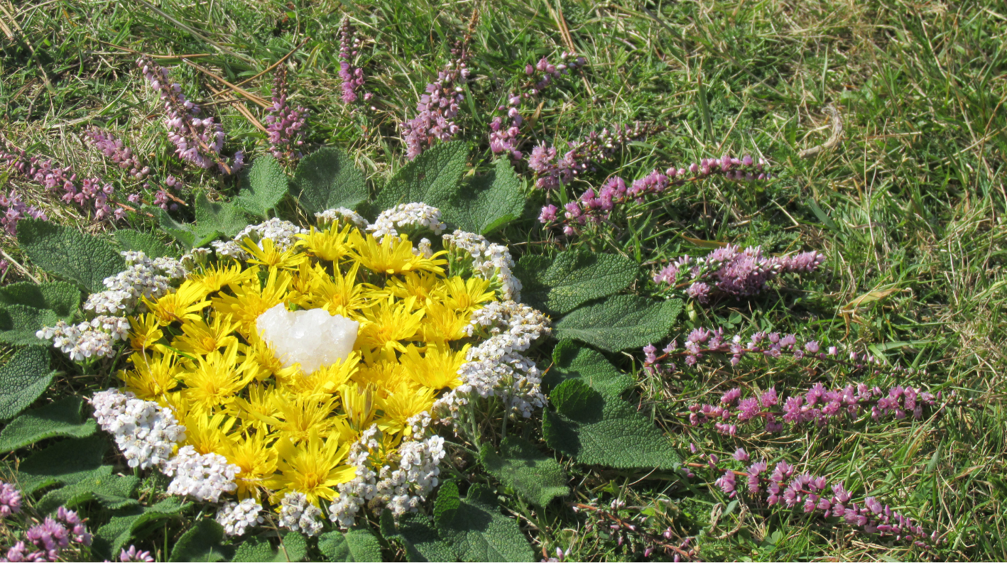 Zahrada plná mandal: Inspirace pro tvorbu mandal z přírody