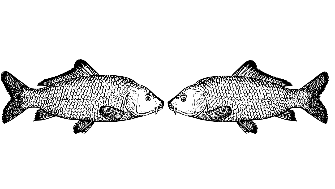 Kameny pro znamení: Ryby