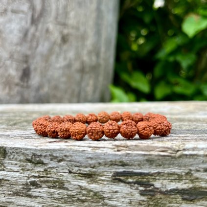 RUDRAKSHA KORÁLKY  - náramek ze vzácných dřevin