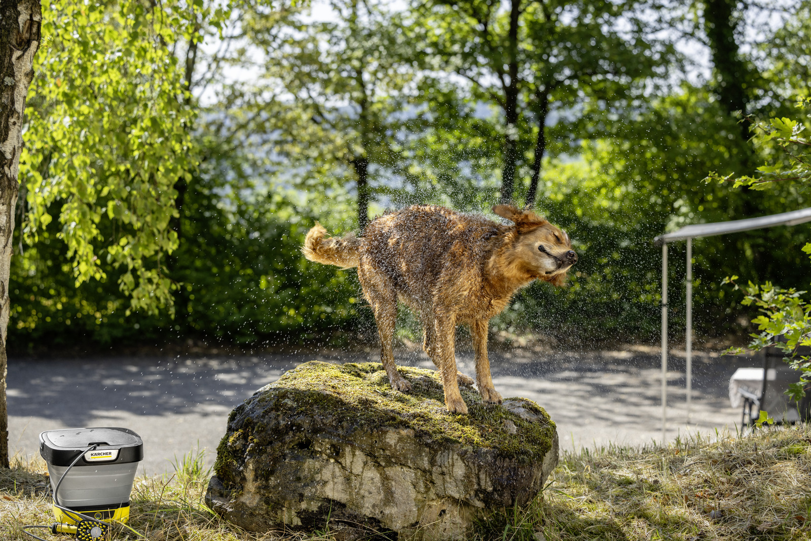 Karcher Kärcher Kefa na umývanie domácich zvierat