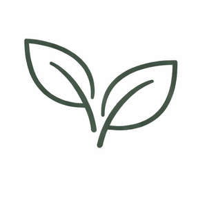 Šetrná a ekologická skincare | Zalia.sk