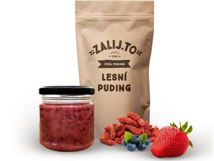 1707925620 lesni puding Fotor