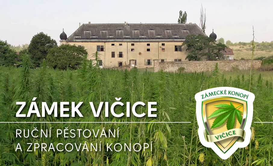 Zámek Vičice - Zámecké konopí