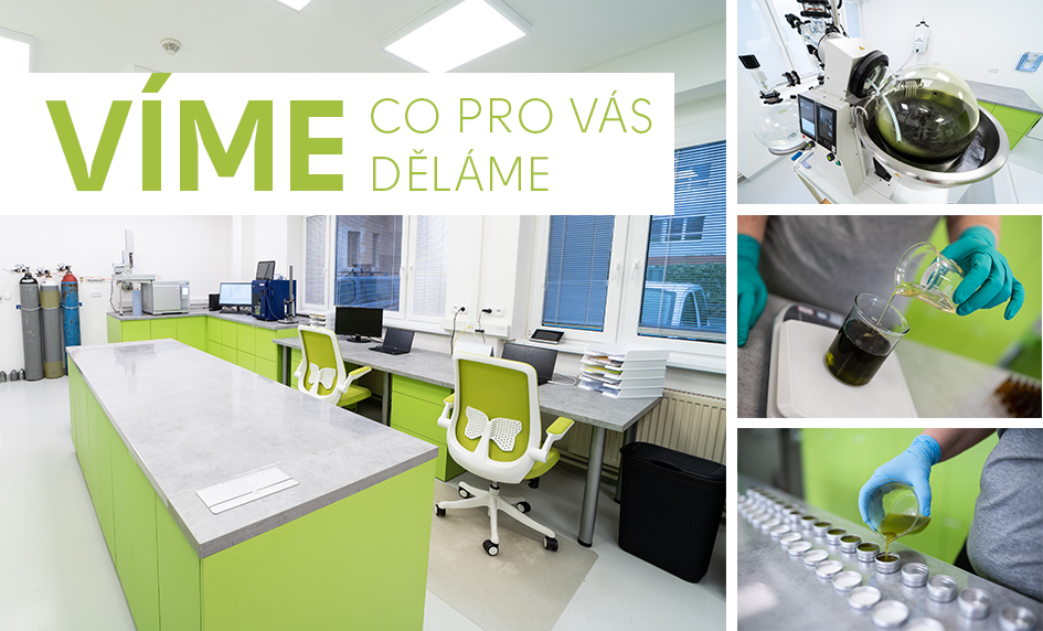 Vlastní laboratorní výzkum