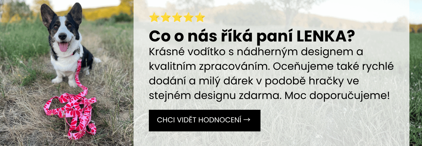 Recenze zákazníků Zamidog