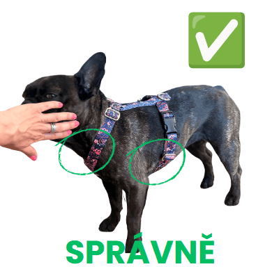Buldoček - správná velikost postroje