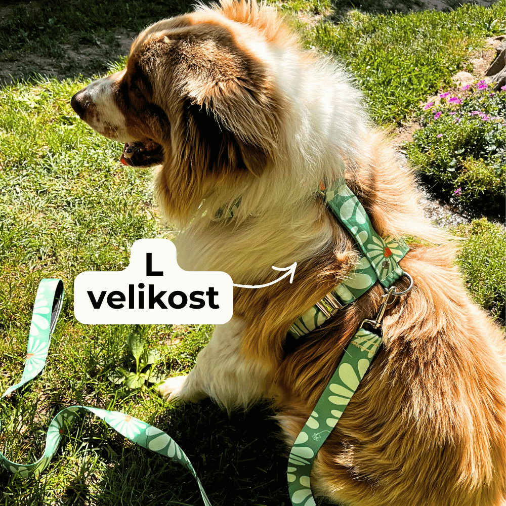 l-velikost