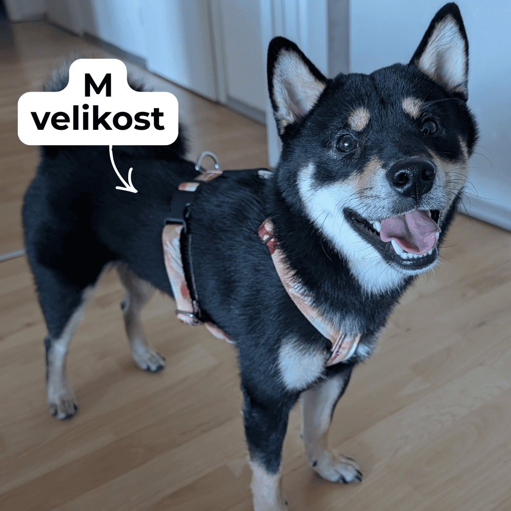 m-velikost