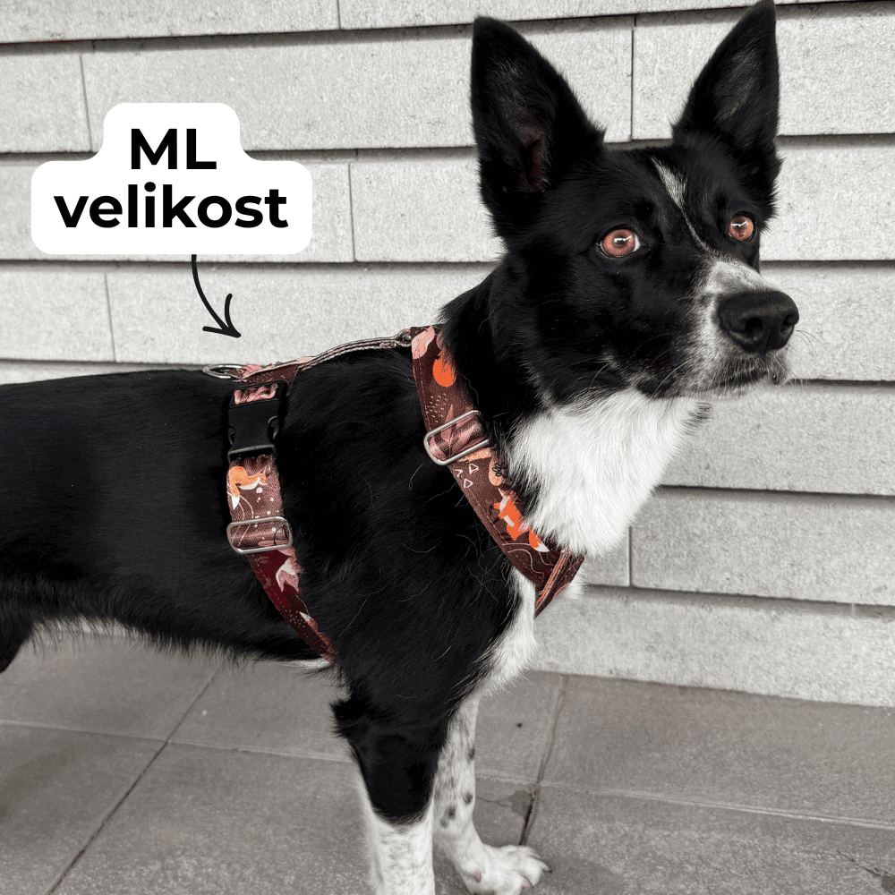 ml-velikost