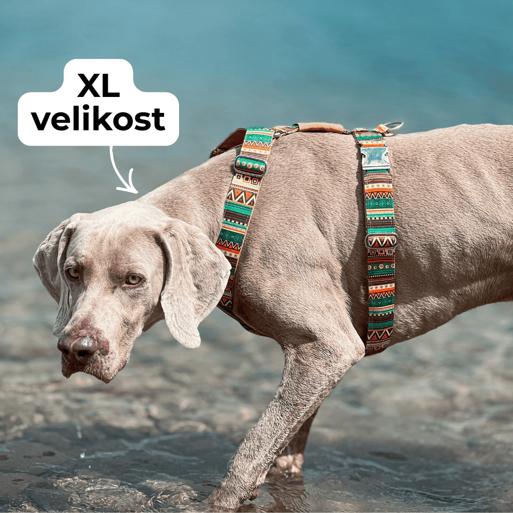xl-velikost