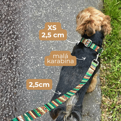 Obojek pro psa velikosti XS