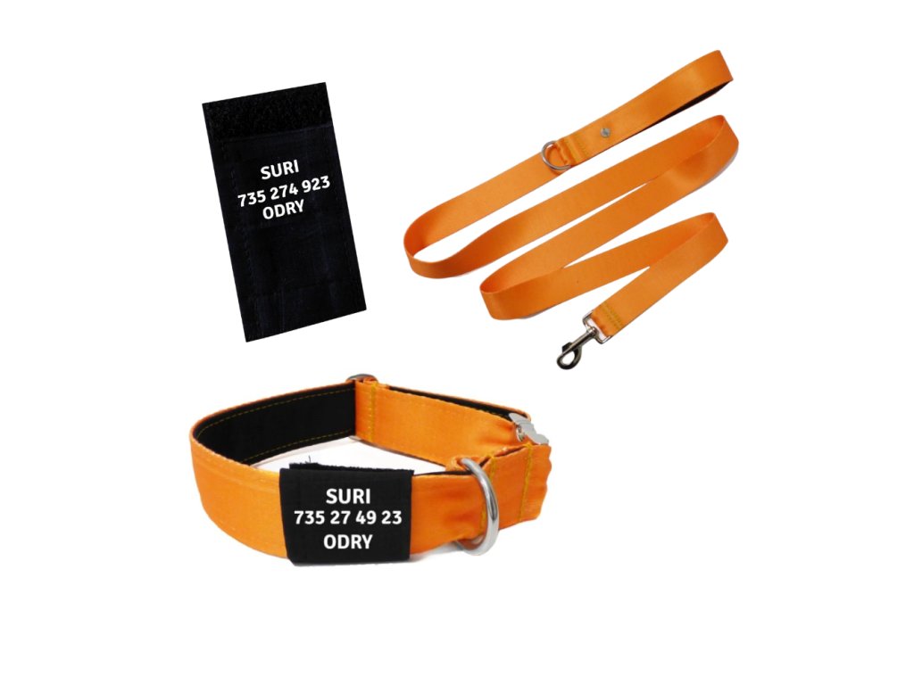 Obojek a vodítko oranžový set + jmenovka