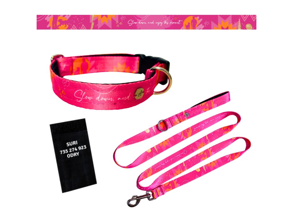 obojek_se_jmenem_a_telefon_a_voditkem_zamidog