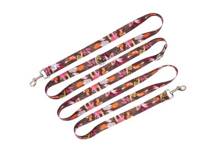 prepínací vodítko pro psa lisky