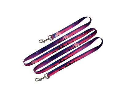 prepinaci-voditko-pro-psa-polarka