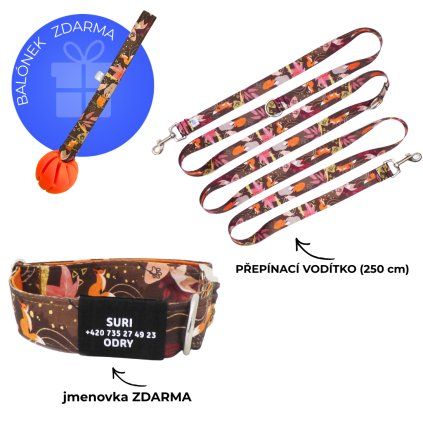 Obojek a přepínací vodítko Lišky