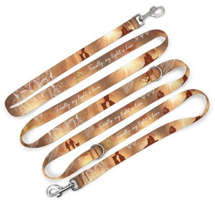 vodítko přepínací 2,5 m dlouhé