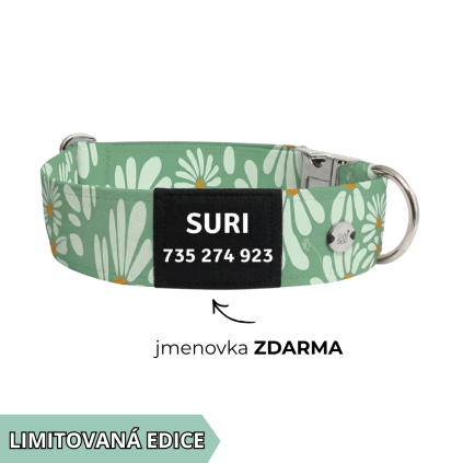 zelený obojek