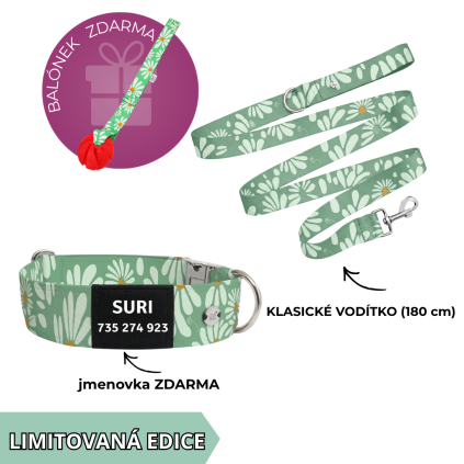 zelený set