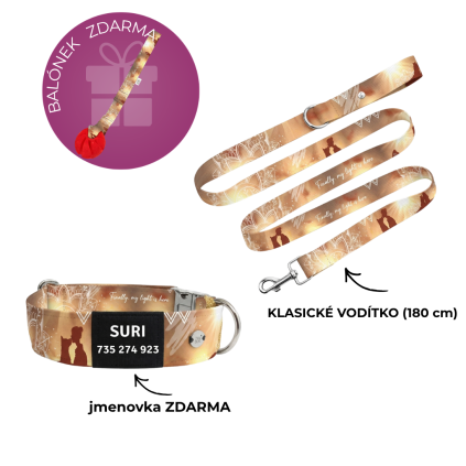 obojek a vodítko pro psa zamidog