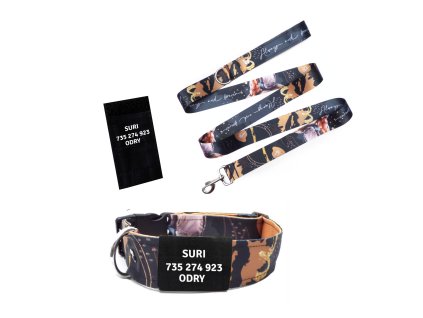 vodítko a obojek pro psa