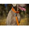 Přepínací vodítko pro psa oranžová barva