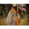 prepínací vodítko pro psa oranžové barvy