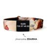 obojek rpo psa se jmenem a číslem zamidog light