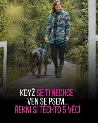 A co si říkáš ty, když se ti zrovna nechce? 😃 Tohle je pro všechny pejskaře, co občas vedou vnitřní boj mezi gaučem a...