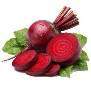 Cvikla