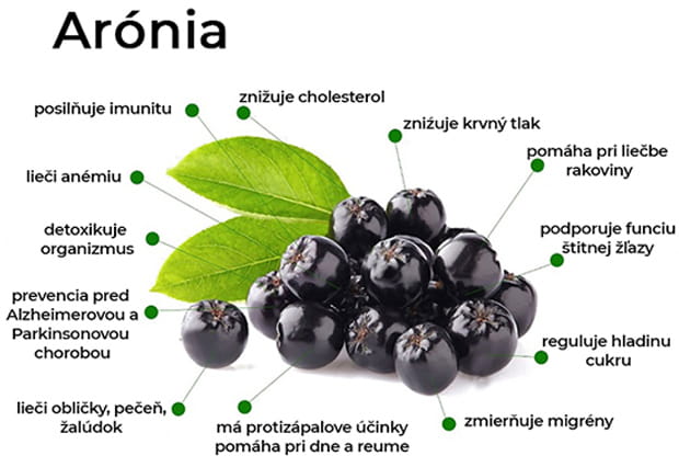 info grafika BIO Arónie od ZAMIA - plody Arónie a rozpis účinkov Arónie