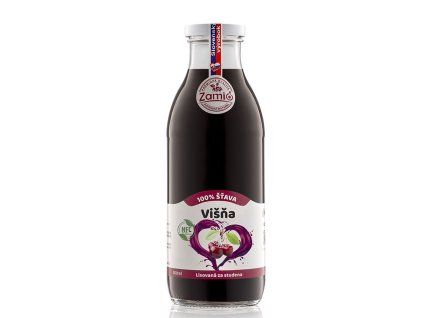 zamio visna 100 stava