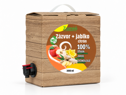 zazvor jablko citron 3L
