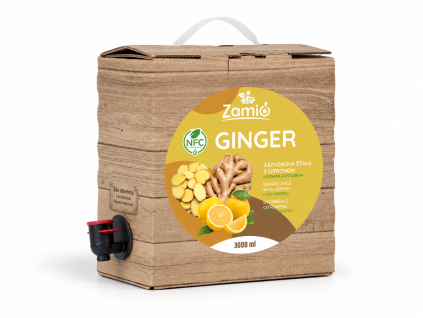 zazvor med citron 3L